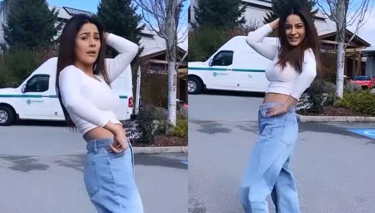 Shehnaaz Gill, Vilaayti Sharab, Canada, Darshan Raval, Neeti Mohan, Diljit Dosanjh, Honsla Rakh