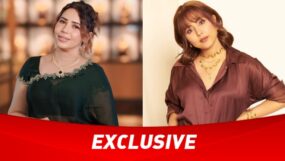 hina khan, rozlyn khan, rozlyn khan slams hina khan