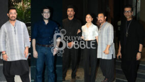 Aamir Khan, Junaid Khan, Ranbir Kapoor, Alia Bhatt, Karan Johar, Loveyapa screening,