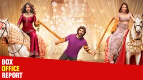 mere husband ki biwi, arjun kapoor, bhumi pednekar, rakul preet singh, mere husband ki biwi box office collection